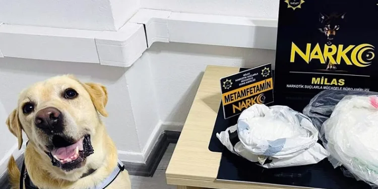 Narkotik köpeği ‘Çiko’ affetmiyor