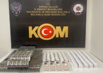 Şırnak’ta kaçakçılık ve asayiş operasyonlarında 2 tutuklama