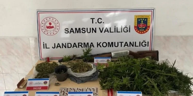 Jandarmadan uyuşturucu operasyonu