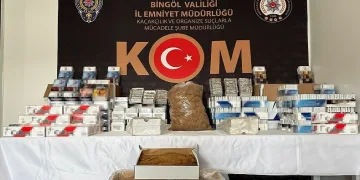 52 bin dal makaron ele geçirildi