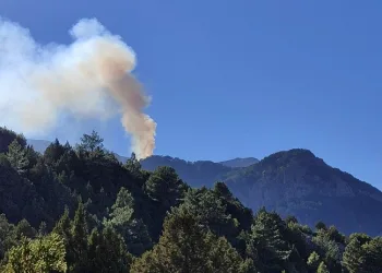Orman yangınına havadan ve karadan müdahale ediliyor