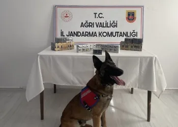 Kaçak sigara operasyonu