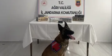 Kaçak sigara operasyonu