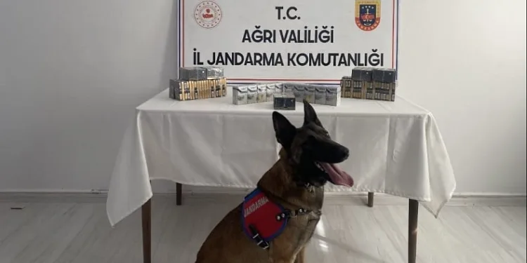 Kaçak sigara operasyonu