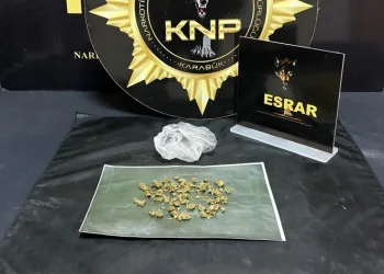 Uyuşturucu operasyonu: 2 gözaltı
