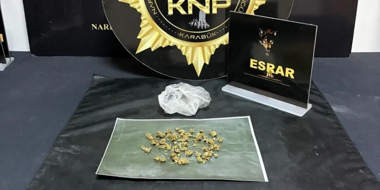 Uyuşturucu operasyonu: 2 gözaltı