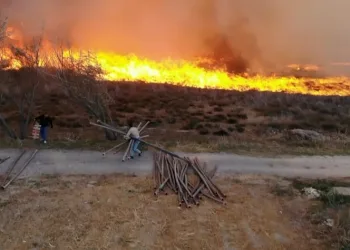 400 dönümlük mısır tarlası ve merada korkutan yangın
