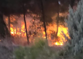 Bursa’da korkutan orman yangını