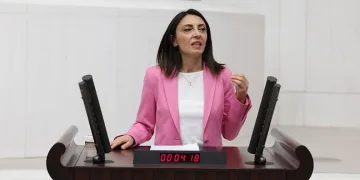 Nilüfer Kayapa’daki koku sorununu meclise taşındı