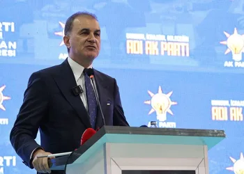 Çelik’ten ‘Yenidoğan çetesi’ açıklaması