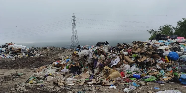 Çöp yığınları tehlike saçıyor