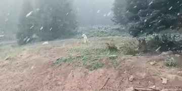 Ilgaz Dağı’nda kar yağışı başladı