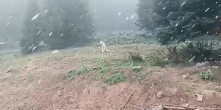 Ilgaz Dağı’nda kar yağışı başladı