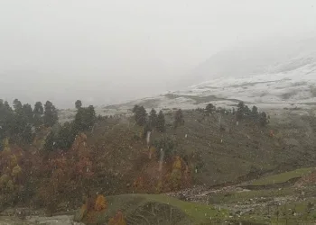 Artvin’e mevsimin ilk karı düştü
