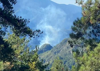 Hatay’da orman yangını