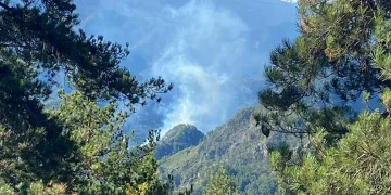 Hatay’da orman yangını