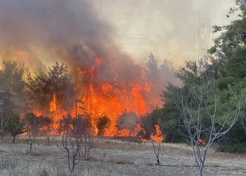 Çanakkale’deki orman yangınında 2 gözaltı