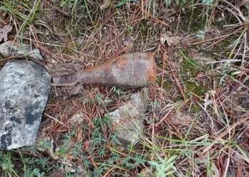Ormanda patlamamış havan topu mermisi bulundu