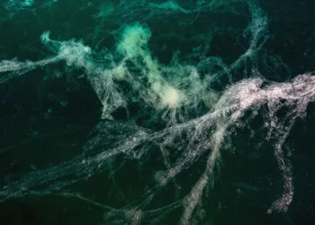 Müsilaj Marmara’da 24 metre yayıldı