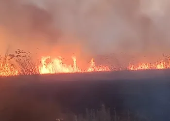Eber Gölü’nde yangın