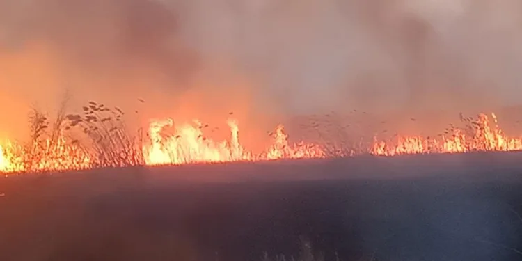 Eber Gölü’nde yangın
