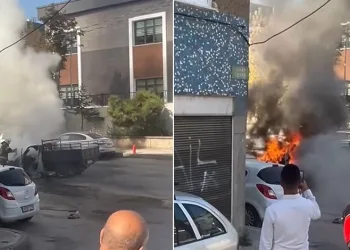 Bursa’da seyir halindeki kamyonet alev topuna döndü