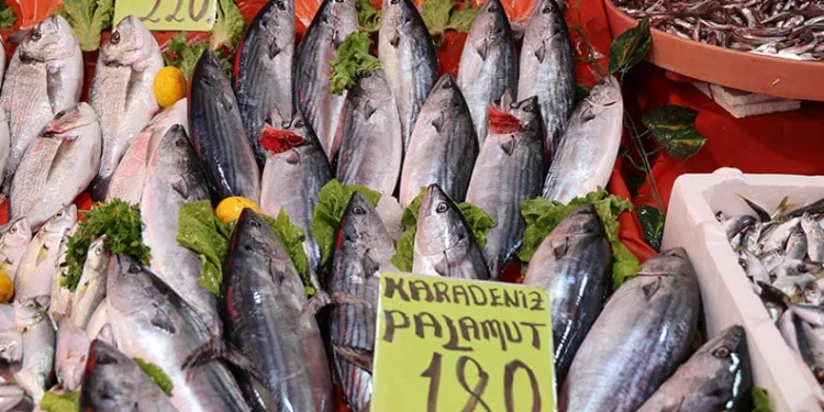 Vatandaşlardan palamuda yoğun ilgi