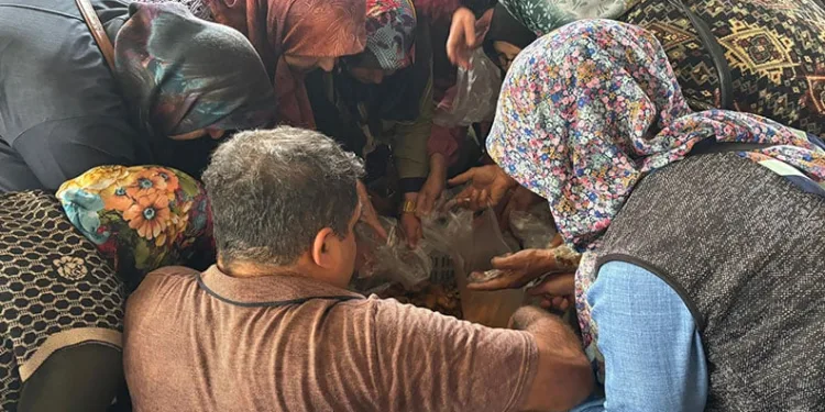 Pazarda mantar izdihamı