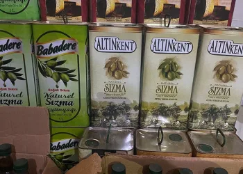Yarım ton sahte zeytinyağına el konuldu