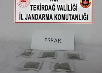 Tekirdağ’da uyuşturucu ve silah operasyonları