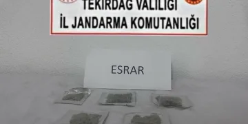 Tekirdağ’da uyuşturucu ve silah operasyonları