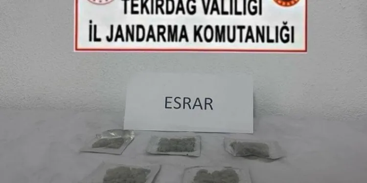 Tekirdağ’da uyuşturucu ve silah operasyonları