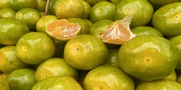 Mandalinalar pazar tezgahlarındaki yerini aldı