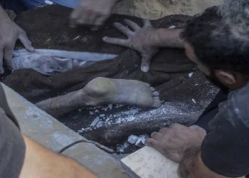Önce öğrendiler, şimdi satıyorlar
