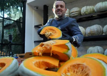 Kabağın tarladan sofraya yolculuğu