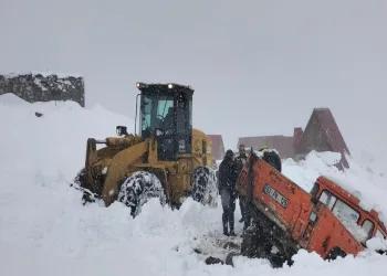 Yaylada küçük ve büyükbaş hayvanlar mahsur kaldı