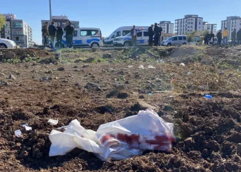 Tapusuz tarla yüzünden silahlı kavga