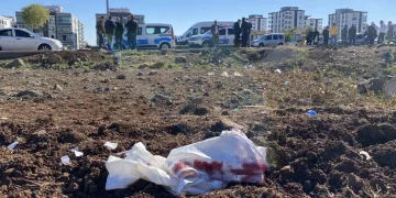 Tapusuz tarla yüzünden silahlı kavga