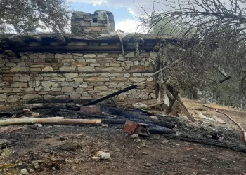Orman yangınında alevlerin sıçradığı ev kullanılamaz hale geldi