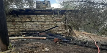 Orman yangınında alevlerin sıçradığı ev kullanılamaz hale geldi