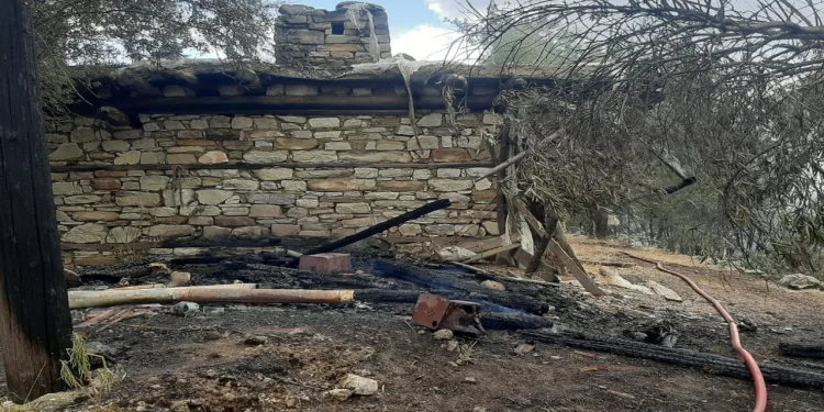 Orman yangınında alevlerin sıçradığı ev kullanılamaz hale geldi