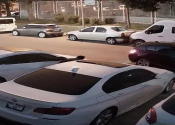 113 suç kaydı bulunuyor
