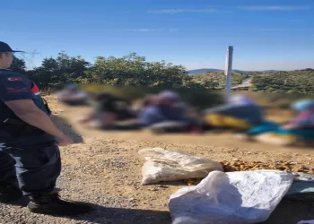 Yarım ton incir çalan hırsızlar jandarmaya takıldı