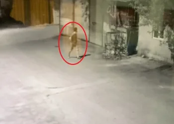 İş yerinin kamyoneti ile gece seyahati yapan şahıs serbest