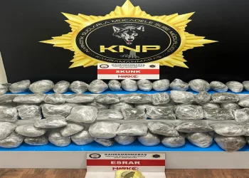 Tırda 49 kilo skunk maddesi ele geçirildi
