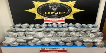 Tırda 49 kilo skunk maddesi ele geçirildi