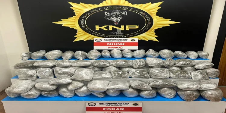 Tırda 49 kilo skunk maddesi ele geçirildi