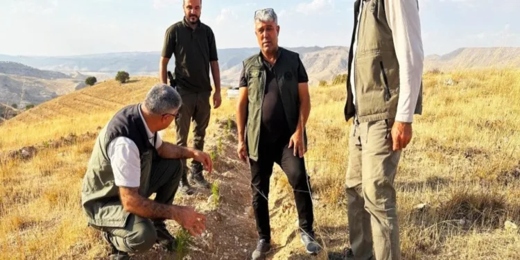 Bin dekarlık alanda inceleme