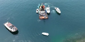 İzmit Körfezi’ne 6 bin balık daha salınacak