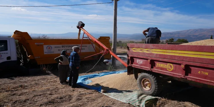 Büyükşehir çiftçiden 45 ton arpa alacak